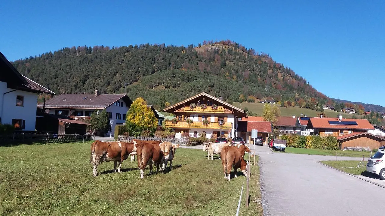 Ferienwohnungen Sperer Wallgau